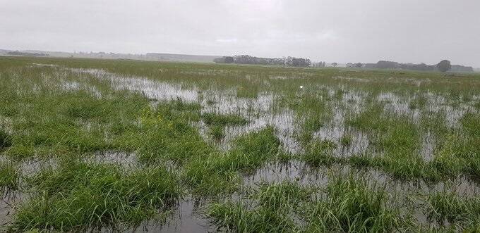 SWAMPY COUNTRY: Heavy rain on Craig Dettling's dairy farm, at Macarthur caused this drain to fill.