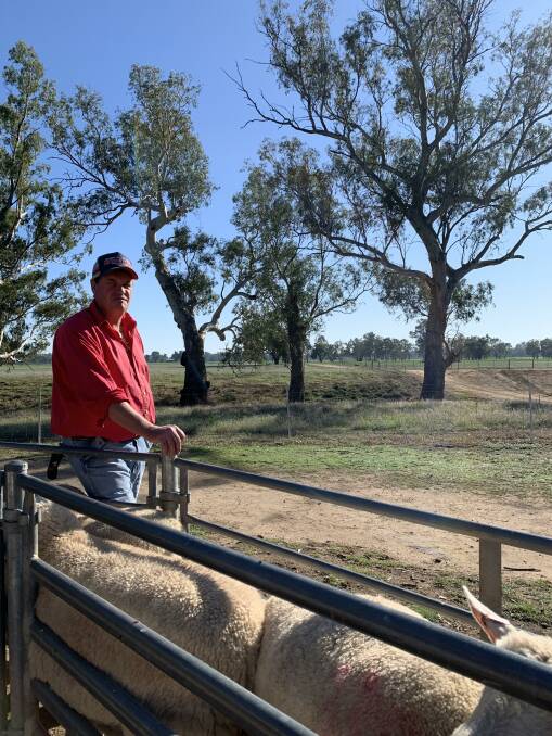 NATIONWIDE ADVICE: Craig Wilson and Associates managing director, Craig Wilson, provides advice to sheep and wool producers across Australia.