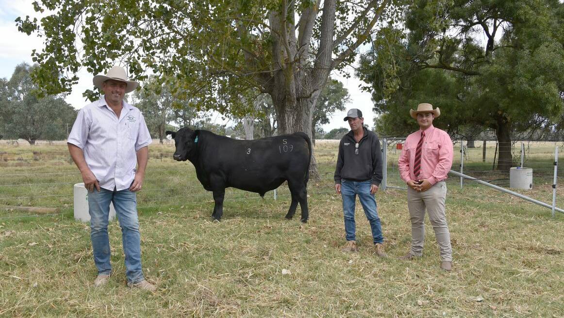The top-priced bull Riddellvue Plantation sold for $15000 to the Griffiths Family, Seymour. He's with Riddellvue's Ian Bates, Nutrien Yea livestock agent Rick Wills and Elders auctioneer Ryan Bajada, Elders Stud Stock, Picture by Janine Elen 