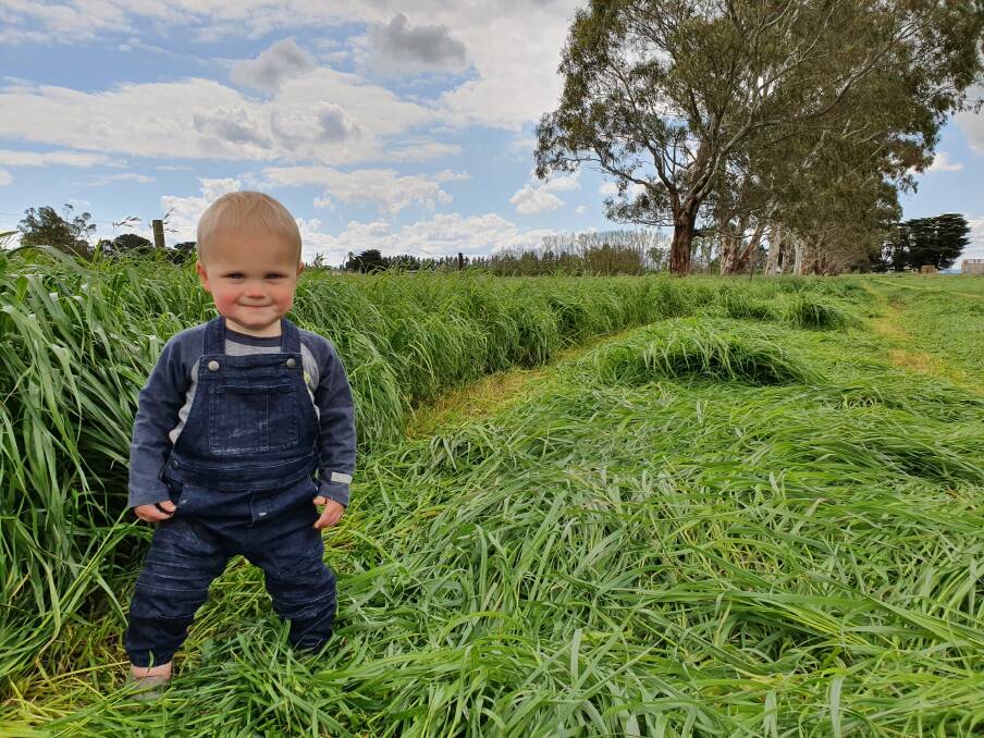 Silage a winner for Gipps farmers