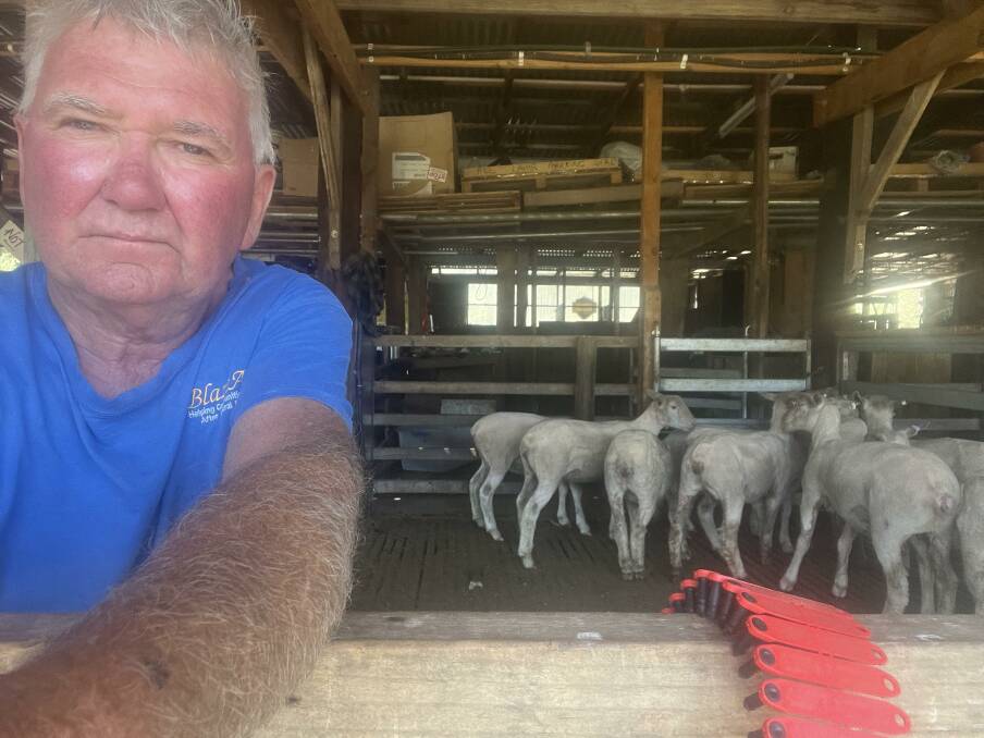 Mr Butler says 381 head of lambs had been "spirited away without a trace" from his Kilmore East property. Picture supplied.