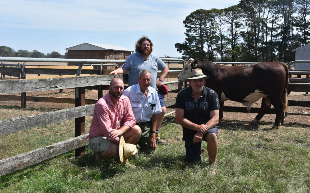 POLLED WINNERS: Andrew Button, Elders, Melville Park stud principal David Lyons and Dale and Alex Sullivan, with the top-priced bull.