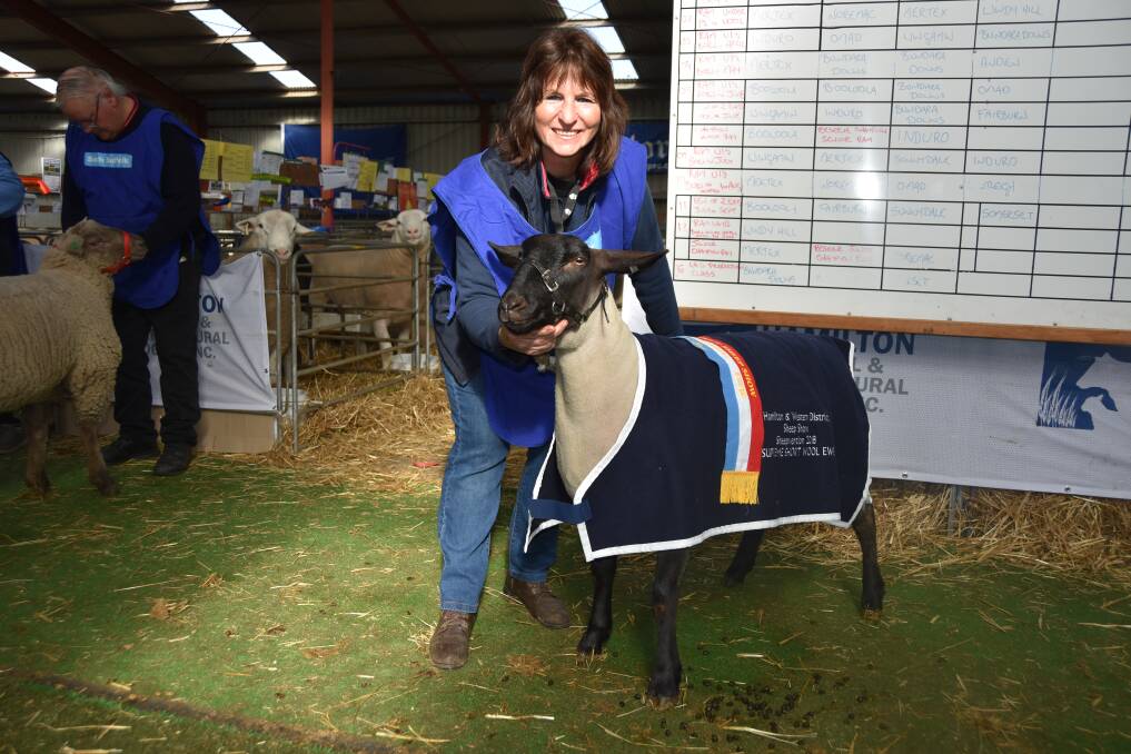 South Australian and Victorian studs do well in Interbreed