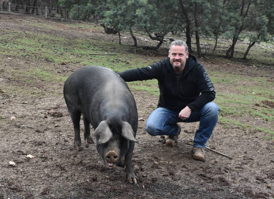 PROCESSING CONCERNS: Lauriston pastured pig producer Verne Glenwright says JBS potential acquistion of Rivalea underscores the urgency of setting up small-scale abattoirs. 