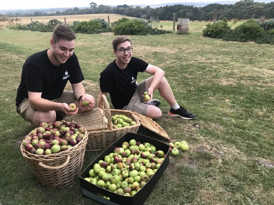 APPLE PICKERS: Tom and James Gurnett with a haul of apples, ready for turning into cider.