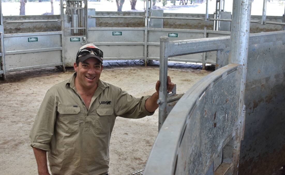 NEW SYSTEM: LarnOO farm manager Jarrod McKay in the property's new yards.