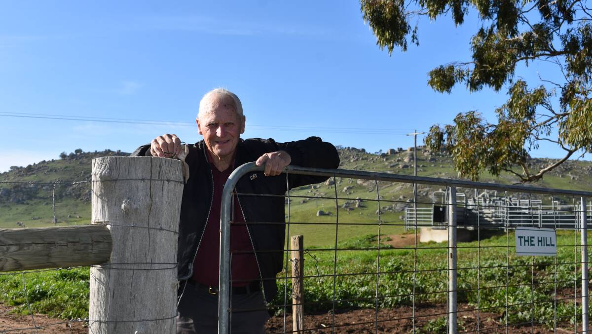 The weekend rain has come just at the right time for many producers, including Pyalong bullock fattener John Dynan. Picture by Andrew Miller.