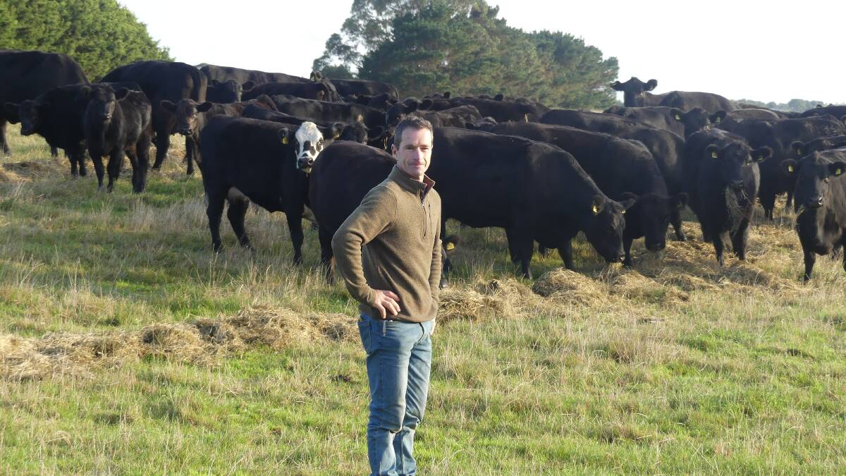 BEEF SWITCH: Fish Creek beef producer Mark Standfield says he moved away from dairy, after realising he was missing out on seeing his children grow up. Photo by Bec Nadge.