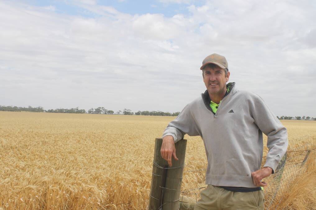 Berriwillock's John Renney said he was hopeful the gene discovery would result in disease and drought resistant wheat.