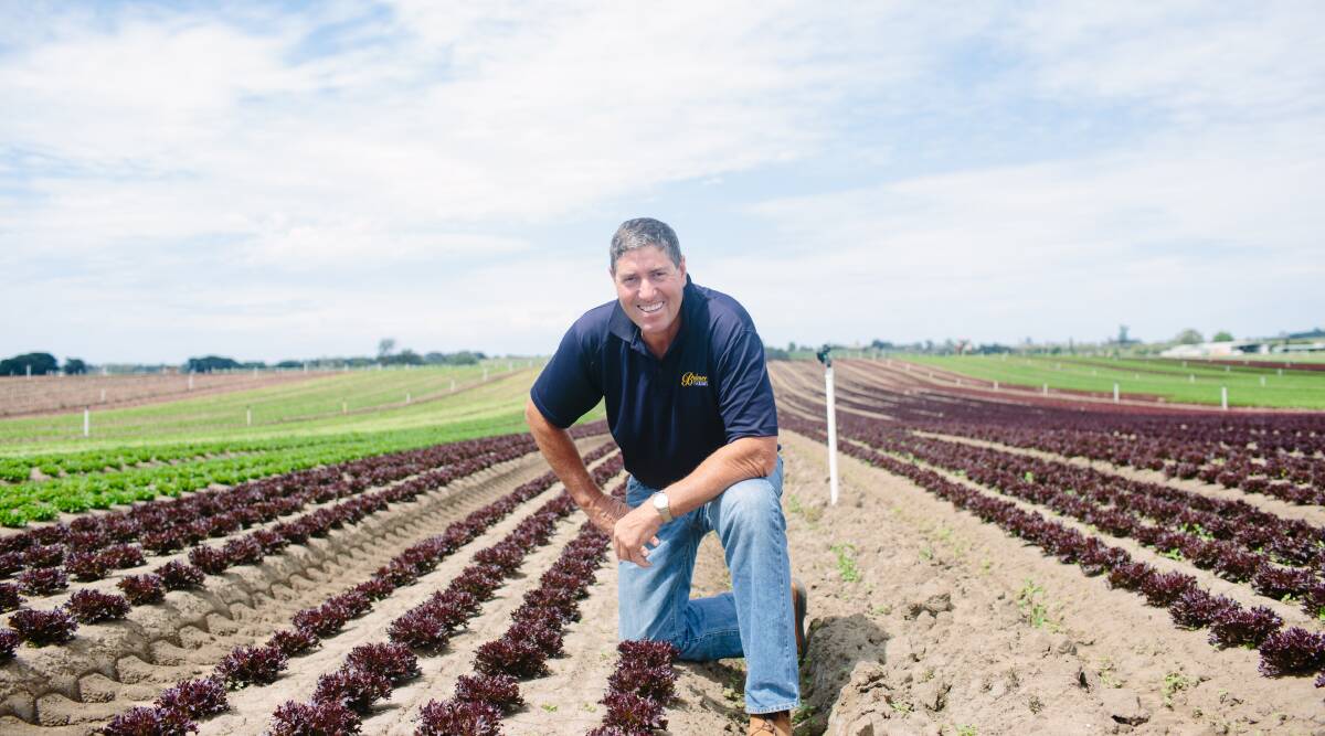 POOR COMMUNICATION: AUSVEG chair and Lindenow vegetable grower Bill Bulmer says he's mystified as to why governments are slow to let seasonal workers, into the country.