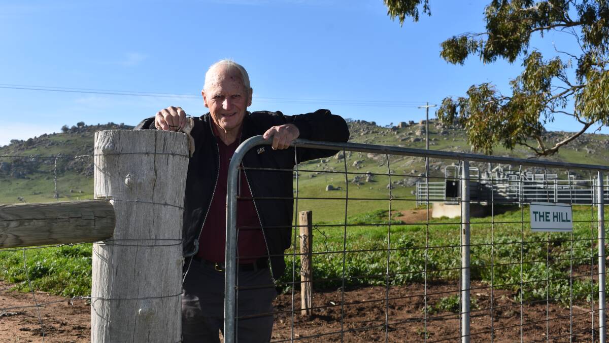 BULLOCK FATTENER: John Dynan is making a go of what's traditionally a Gippsland beef operation - bullock fattening - in the granite country, around Pyalong.