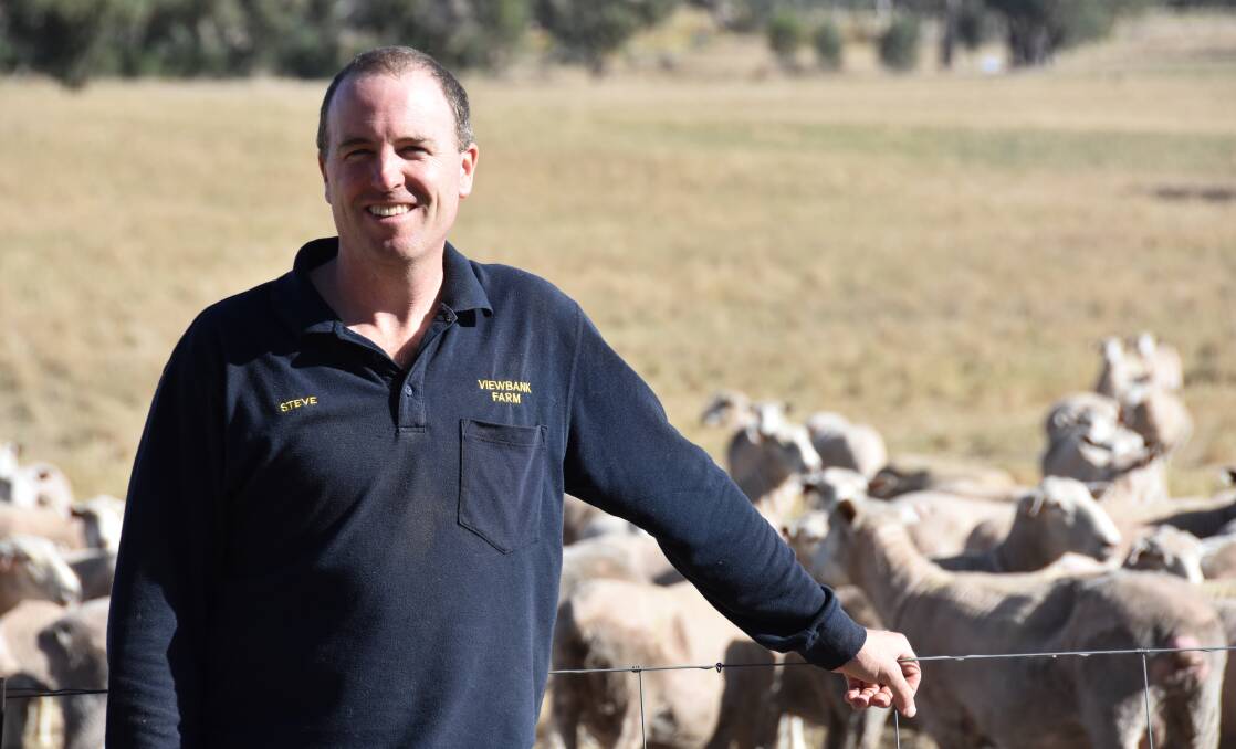 PRIME LAMB: Steven James, Boweya, concentrates on producing prime lambs for the export market.