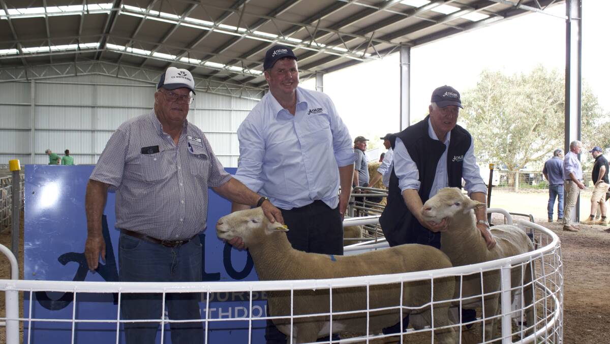 TB White livestock agent Geoff White, Ballarat with Damian and Henry Cameron, Penshurst, and the two top-selling Poll Dorset rams. Picture supplied by Athlone. 