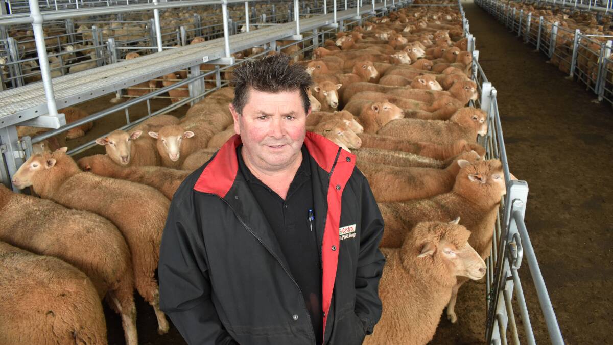 LEAPS AND BOUNDS: Dean lamb finisher Andy Maher, pictured with lambs which sold for $300 - within the coming weeks, another draft had set a new state record of $344 a head.