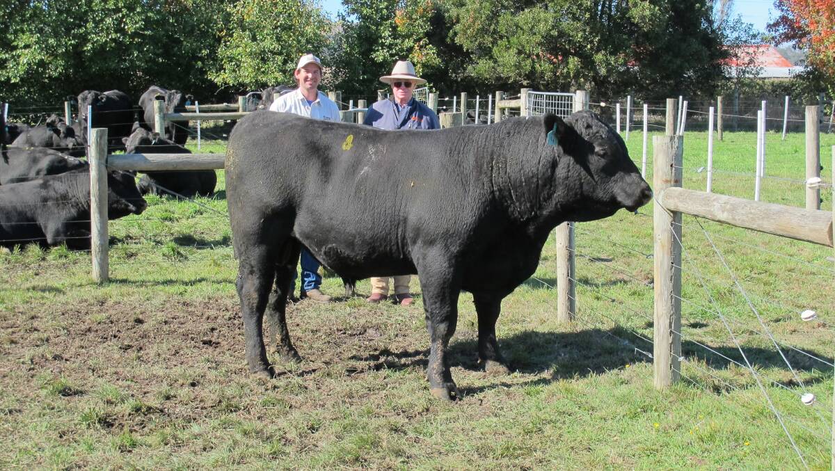 TOP BULL: Cluden Newry stud principal Jock Hughes with the bidder for the top priced bull, Cluden Newry Hyperno, Peter Grieve.