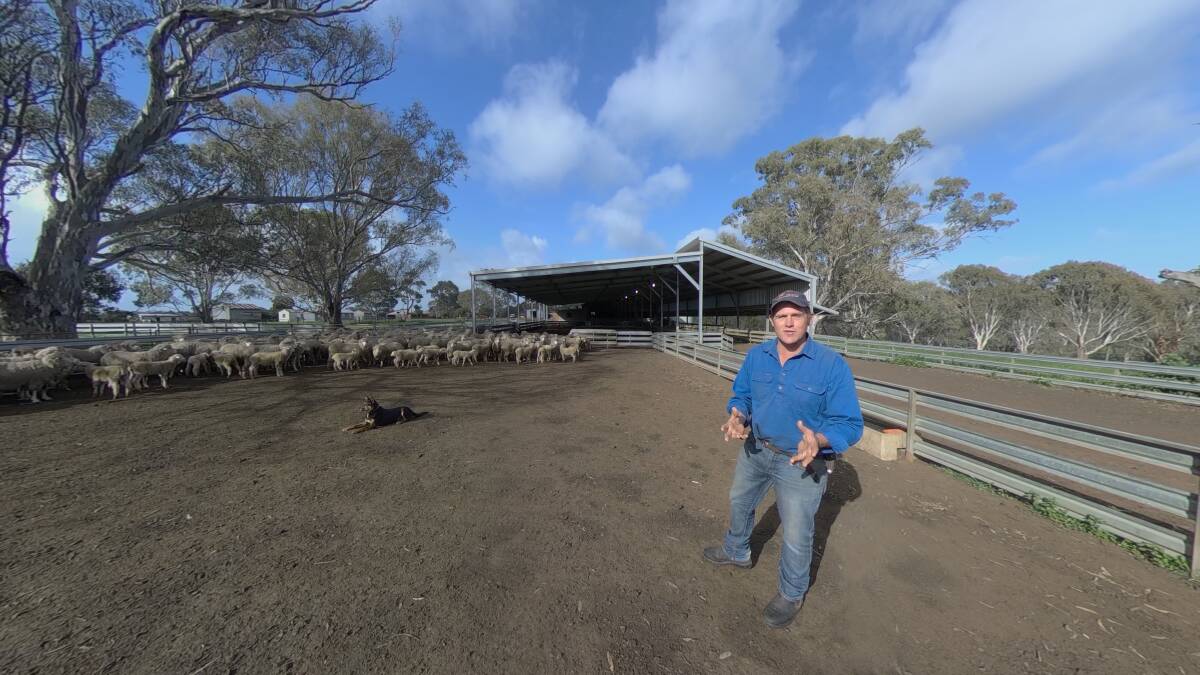VIRTUAL REALITY: Lamb producer Michael Craig, from Harrow, Victoria, features in the new Australian Lamb Paddock to Plate Story.

