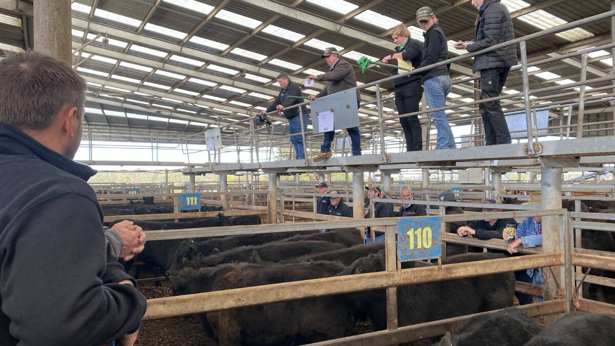 Nutrien auctioneer Brian McCormack selling at a previous Leongatha market. Picture by Holly McGuiness