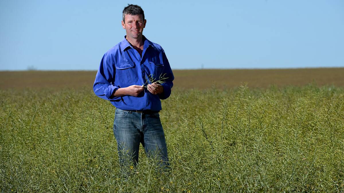 MIXED OUTCOME: Brett Hosking, Quambatook grower, said there were encouraging and disappointing parts of the budget. 