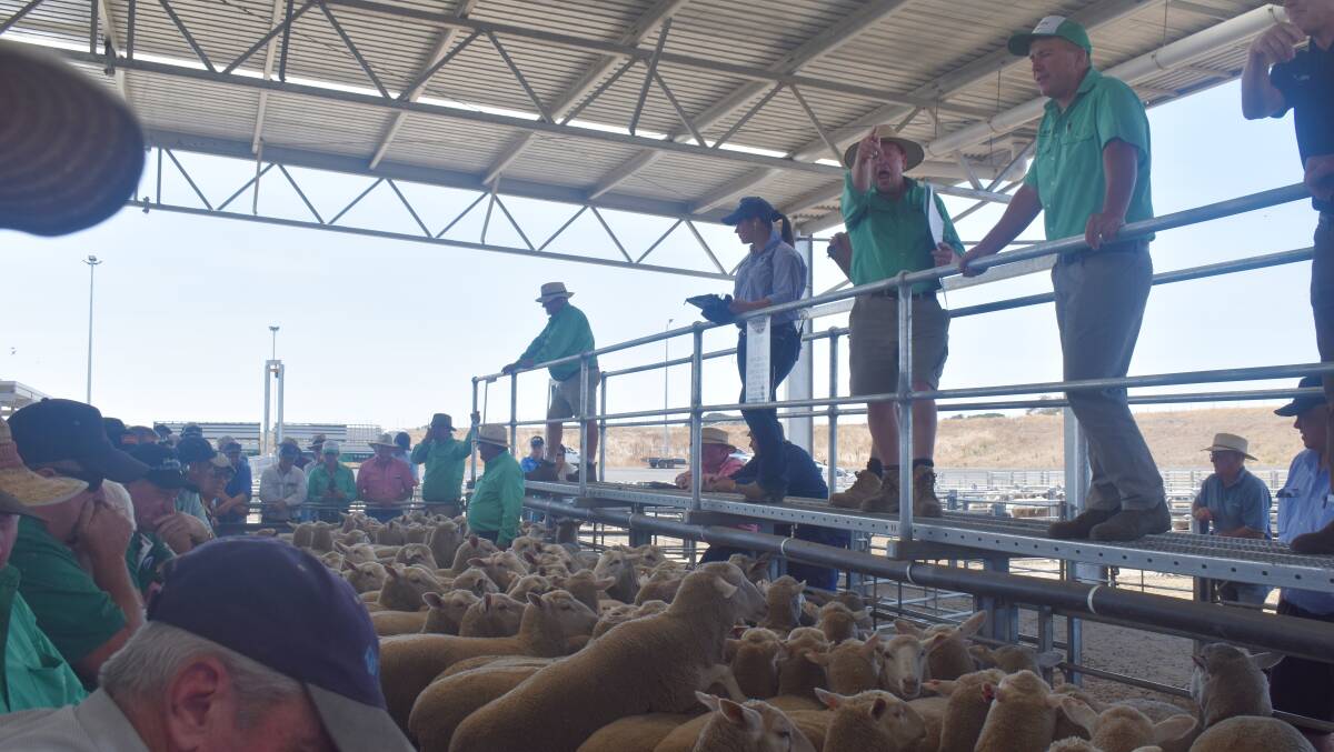 TOP SALE: Xavier Shanahan, Nutrien Ag Solutions, takes bids at last year's Ballarat first-cross ewe sale. File picture.