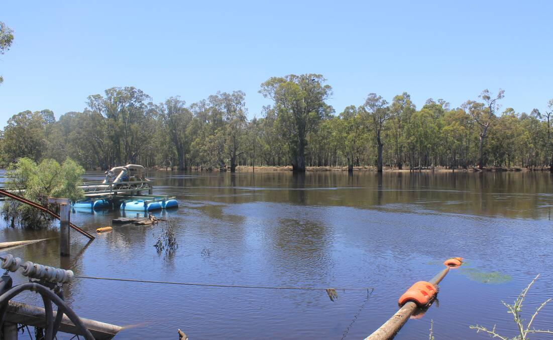 WATER SHORTFALLS: Pumps on the Murray River, near Mildura.