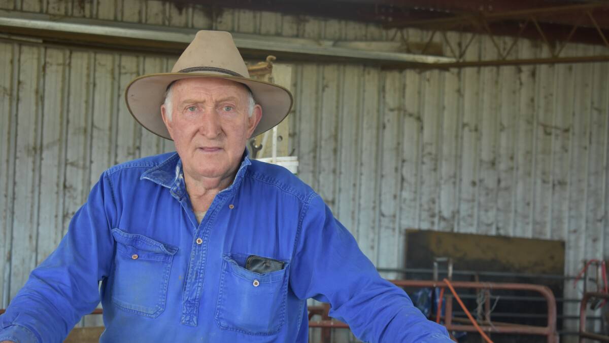 Sheep producer Peter Holmes, Badaginnie, has seen costs go up, due to a greater pest and disease burden in his flock. Picture by Andrew Miller