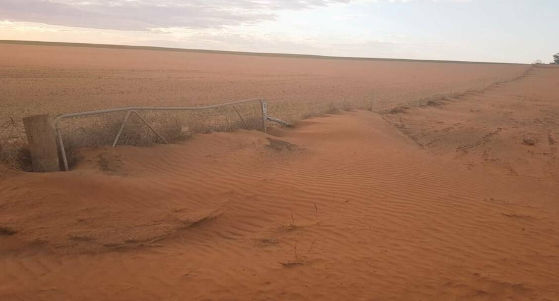 BIG DRY: Conditions in the Millewa, one of the Victorian regions, hit by drought.