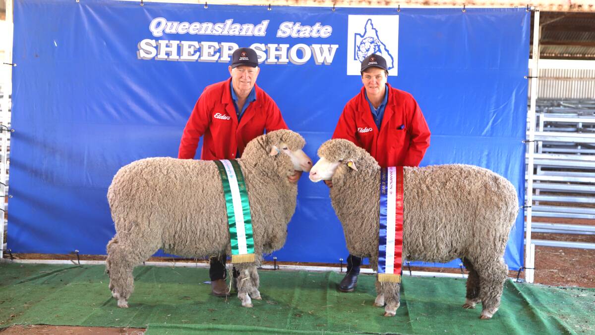 Kevin and Danni Crook, Tamaleuca, with the champion and reserve champion medium wool poll ewes. Picture: Sally Gall