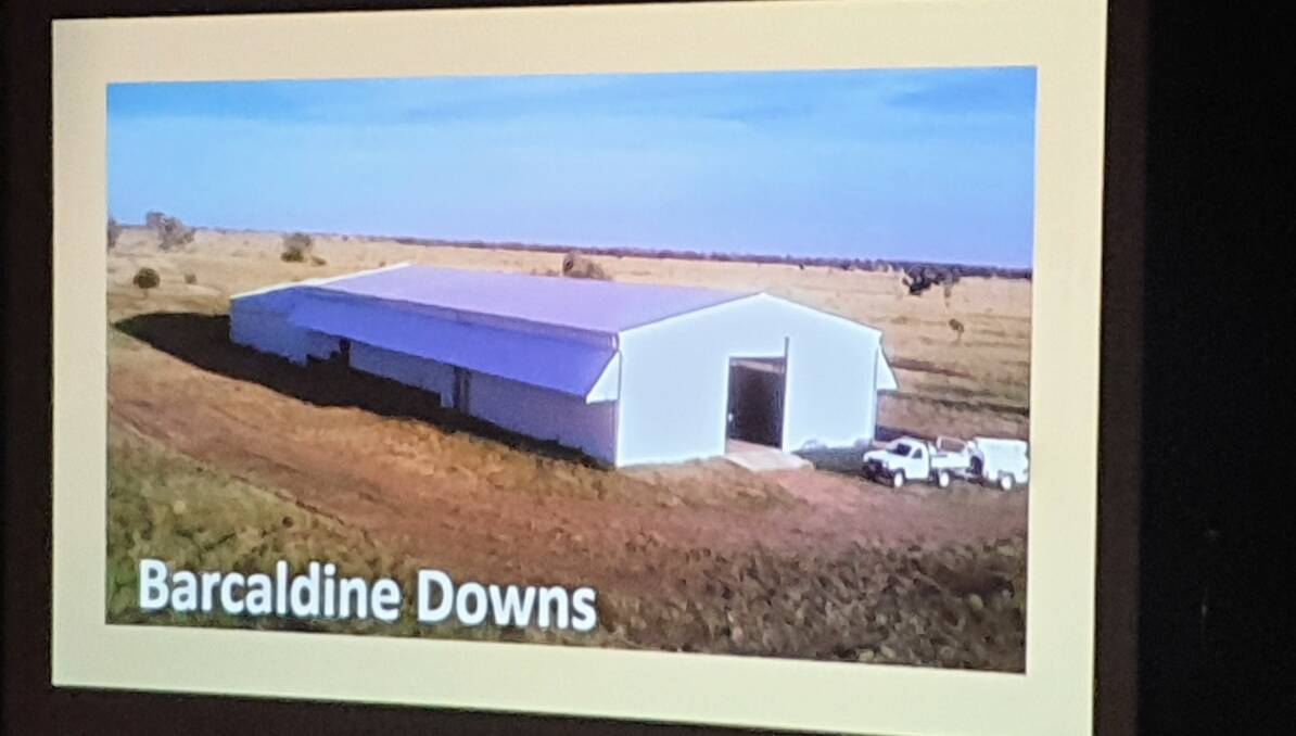 The Barcaldine Downs shearing shed was built in 2008.