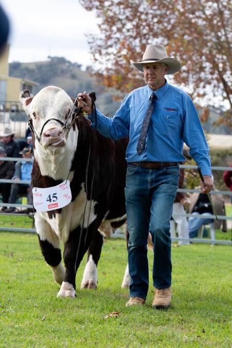 ALL QUALITY: Daryl Schipp and his family work hard on breed improvements.