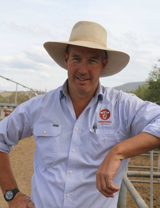 Conference chatter: Herefords Australia general manager Andrew Donoghue will be among local delegates attending the World Herefords Conference in NZ.