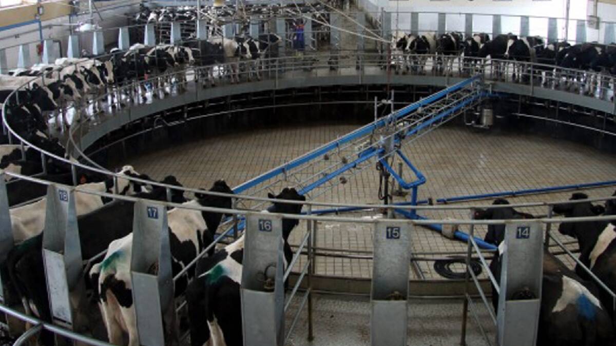 SOLD: Fonterra is selling its dairy farms in China, after developing them with local partners.