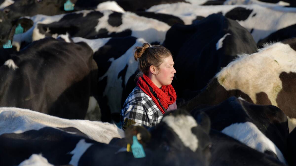 SHORTAGE: The skilled worker shortage is the main concern for dairy farms. While development of the domestic workforce is a focus for industry, immigration will remain an important pathway for some.