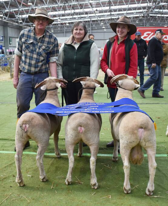 DORSET HORN CHAMPIONS: Robert, Judith and Eleanor Grieve, Hillend Partners, Clarkes Hill, scooped the pool in the Dorset Horns with the champion ewe, ram, Archie Wilson Memorial Trophy and most successful exhibitor awards.
