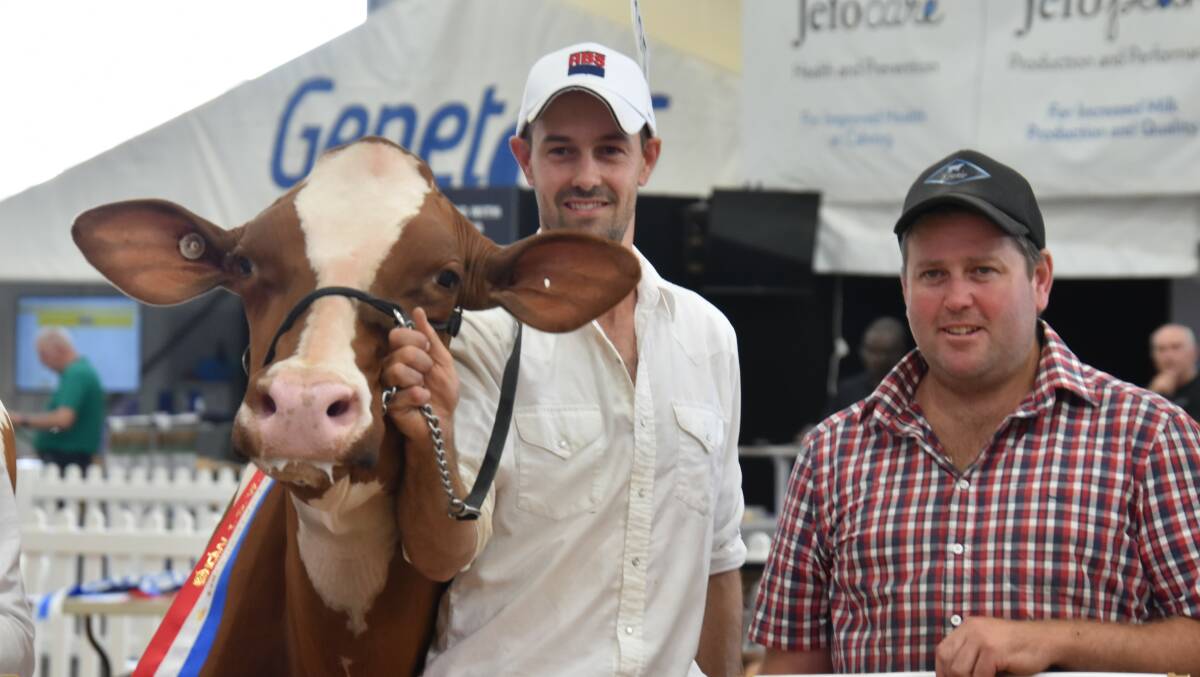 The International Dairy Week 2023 Red and White Holstein intermediate champion Gorbro Unstopabull Admire with leader Andy Cullen and owner Glen Gordon, Gorbro Holsteins, Cohuna. Picture by Carlene Dowie
