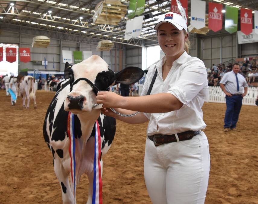The junior champion senior leader Gorbro Dylan Noni was exhibited by Abbie Hanks and is led by Kaitlyn Wishart, Cohuna.