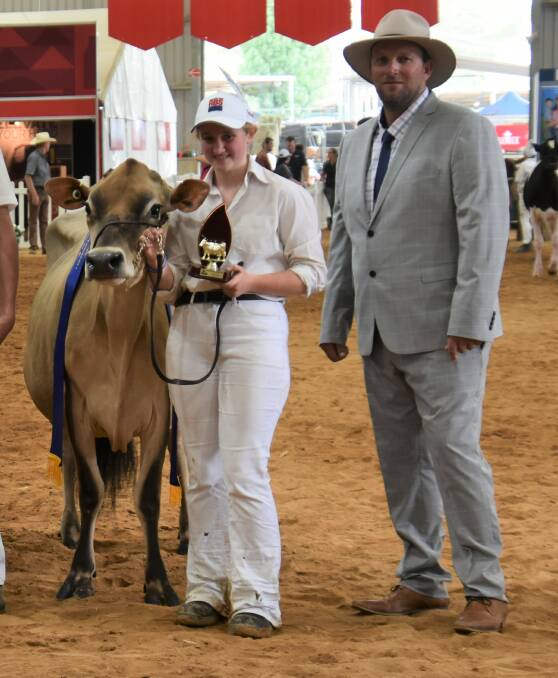 Before it was added to the Wootanga Park Jerseys herd, Brookbora Love Lies 748 was senior champion in milk heifer junior leader and reserve grand champion heifer at International Dairy Week in 2020. The heifer is pictured at the event with leader Aila Bevan and judge Waylon Barron. Photo by Carlene Dowie