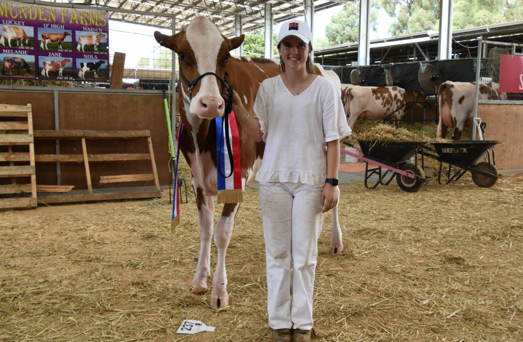 The Red and White Holstein junior champion Elmar Mirand Farlex 4688-PO, with the owner Abbie Hanks, Cobden. Picture by Carlene Dowie