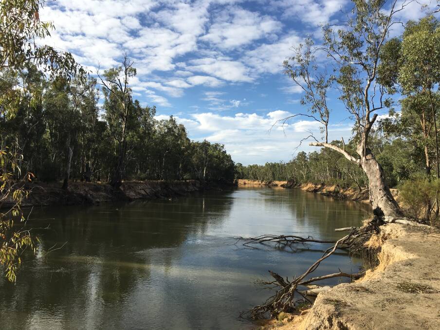 WATERWAYS CAMPING: The Goulburn River, one of many waterways, which would be opened to camping on crown land leases that run along its banks.