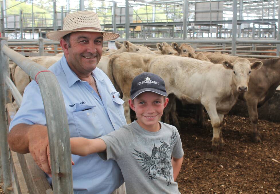 Local support: HF Richardson livestock buyer Alistair Nelson, with son Hugh, purchased 200 head for an estimated av 315c/kg.