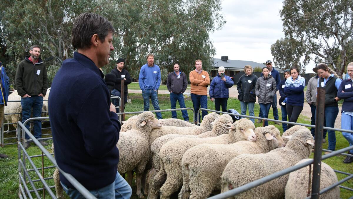 The dramatic fluctuations in the wool market inspired Lyndon Kubeil to produce a more balanced Merino that is taking advantage of surplus sheep sales, as well as the lamb and wool market.