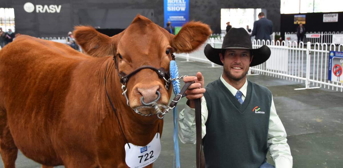 Young ripper" Stuart Hobbs was thrilled to win supreme Limousin exhibit with a junior heifer, Berdihold Stud, Oswald, NSW. 