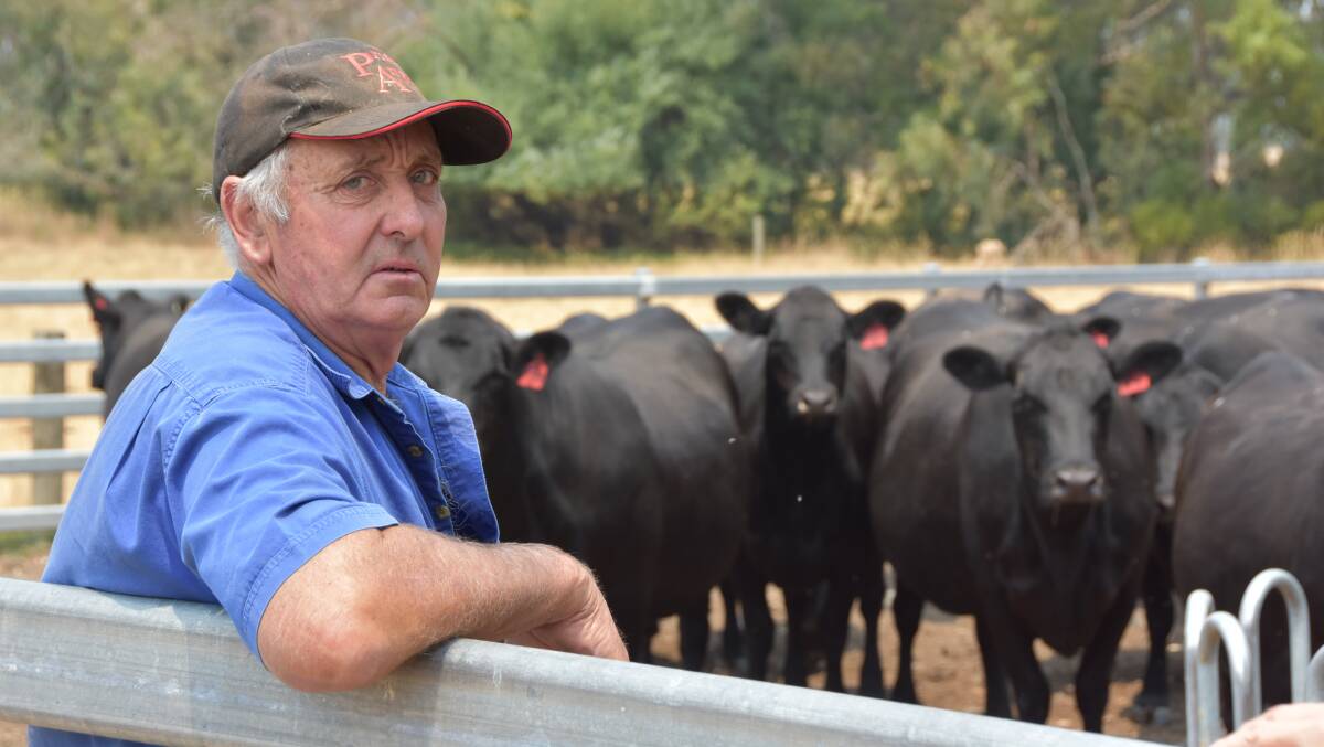 A close relationship with feedlots means Colin Flanagan knows how his cattle perform over the hooks. 