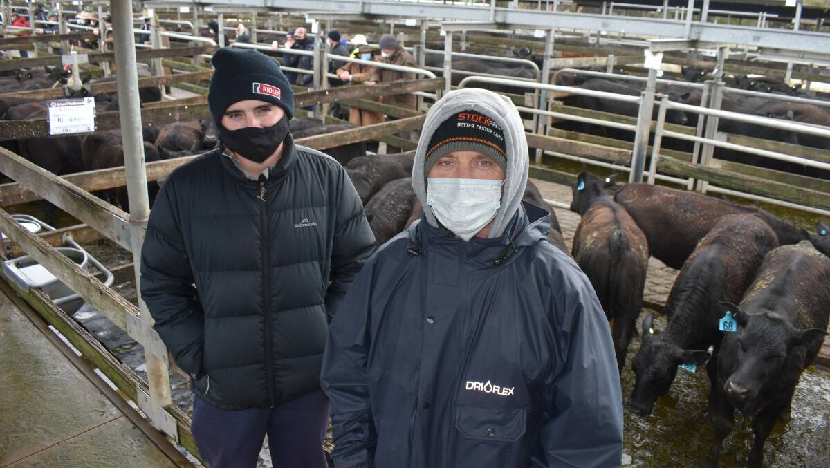 VENDORS: Hamish and father Stephen Gleeson, Orford, sold a pen of 10 heifers that made 444 cents a kilogram at Warrnambool on Friday. Photo by Alastair Dowie.