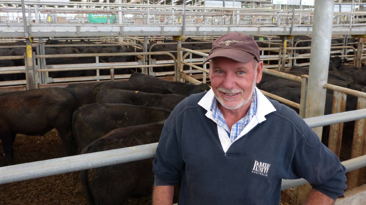 Quality demand: Colin Ford sold steers due to dry conditions at his Glengarry property at Leongatha. 