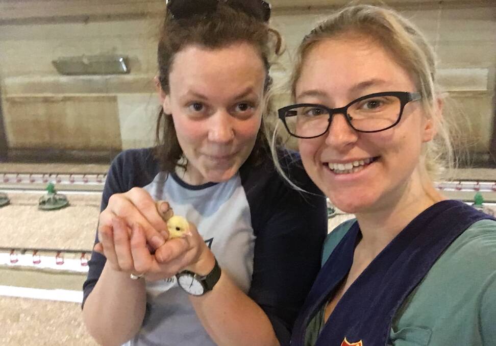 MimicTec: Eleanor Toulmin and Sarah Last have developed PeckTec, which mimics the function of a hen teaching chicks how to eat and drink.

