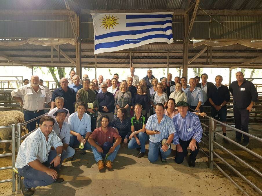 International pre-tour and conference wrapped up on Friday with a sheep auction at Durazno Rural Society.

 