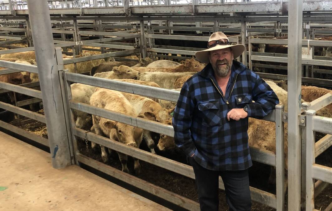 VENDOR: Jason Singe, Yeramba Pastoral Company, Tallangatta, with the 17 Charolais steers, 288kg, he sold for $1350 at the Wodonga store sale. 