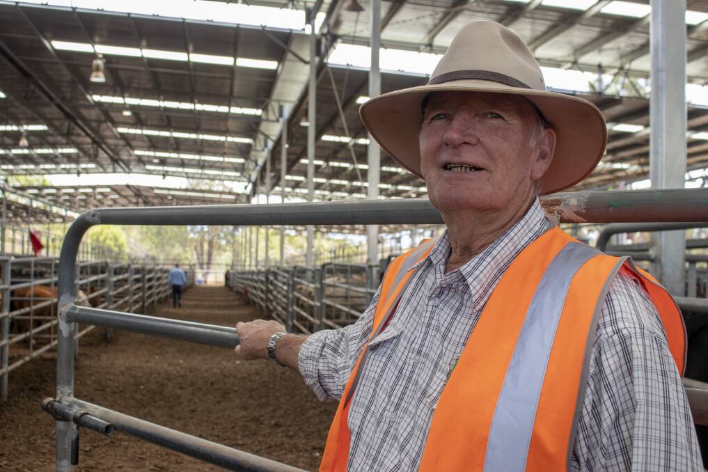 Moving stock: Murrindindi Shire Council saleyards management committee's Graeme Broadbent at Yea store sale. Photo by Emily McCormack. 