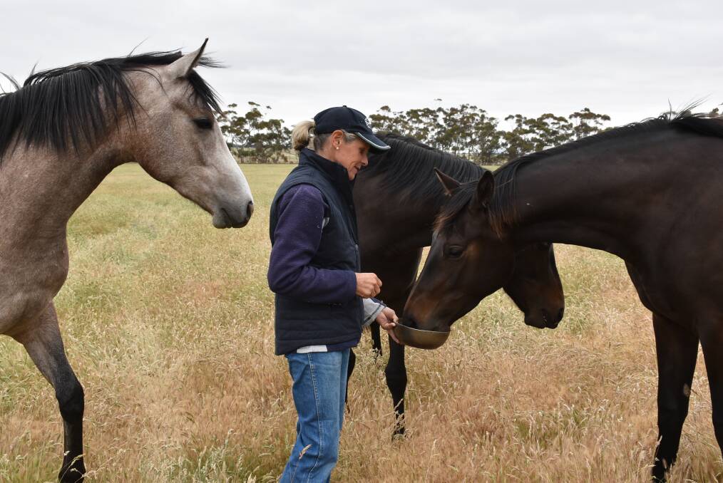 Super seedstock: Kate Luckock operates Ennerdale, which runs 300 cows plus replacement heifers, 11,000 Merino sheep and an Arabian horse stud.