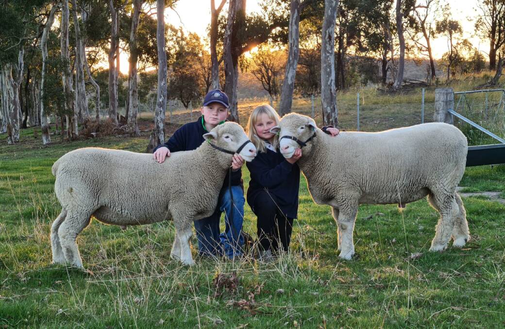 YOUTH: Ashley (12) and Charlotte Cooper (10) are the drivers and the name behind the Ashcharmoo Poll Dorsets, Marulan, NSW.
